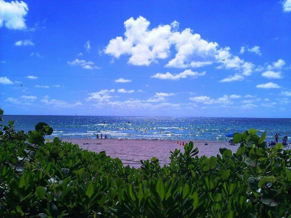 Holiday Inn Miami Beach-Oceanfront image 10